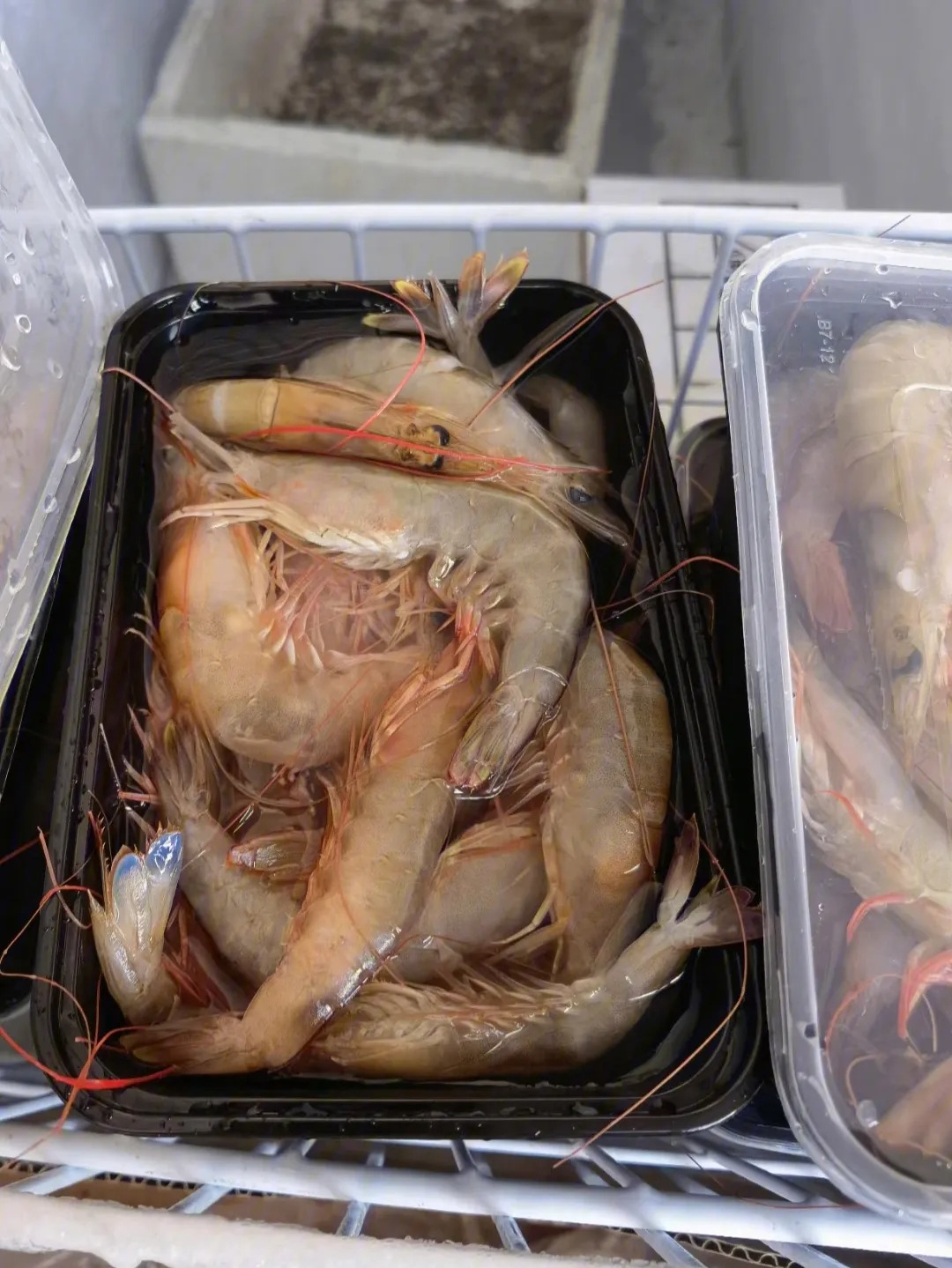 春天蓋兩層薄被其實更暖和早春