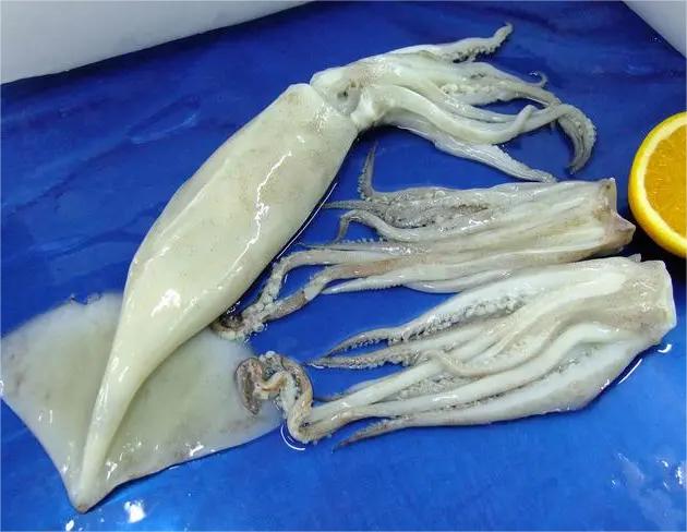 春天祛濕有美食 哪些美味有功效早春