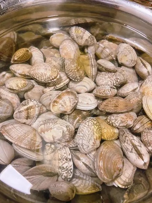 春天的野菜,春天的野菜的一些家常做法