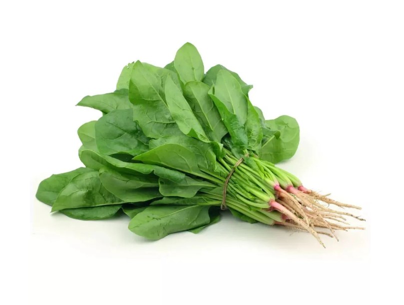 春天給身體做“大掃除”早春