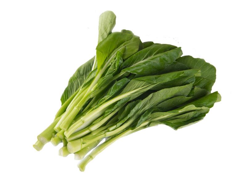 春天老年人生活五忌早春