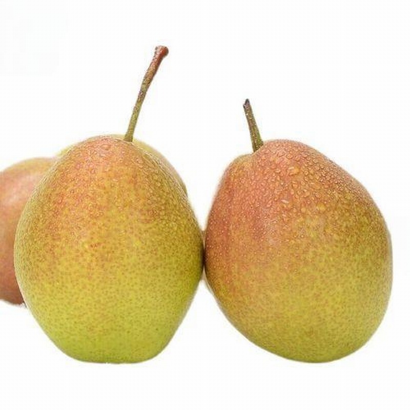 初春時節(jié)如何減衣不易感冒?早春