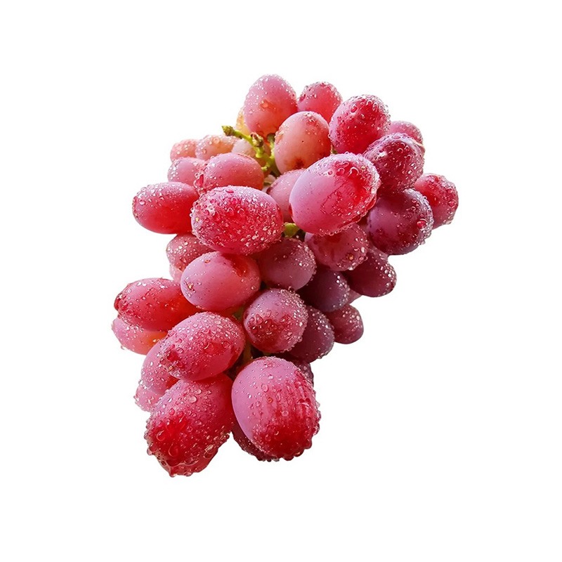 春季養(yǎng)生主張早春