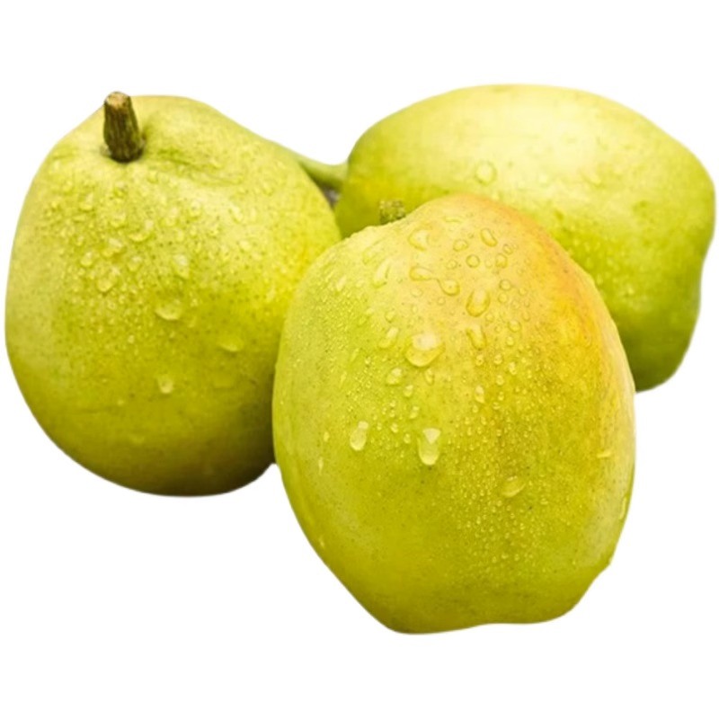 春季養(yǎng)生注意少用阿膠類補品早春