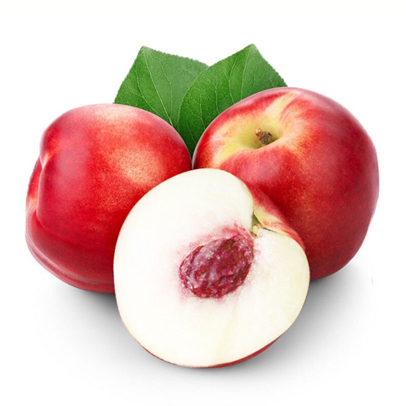 春季飲食推薦三寶羹 健脾助消化早春