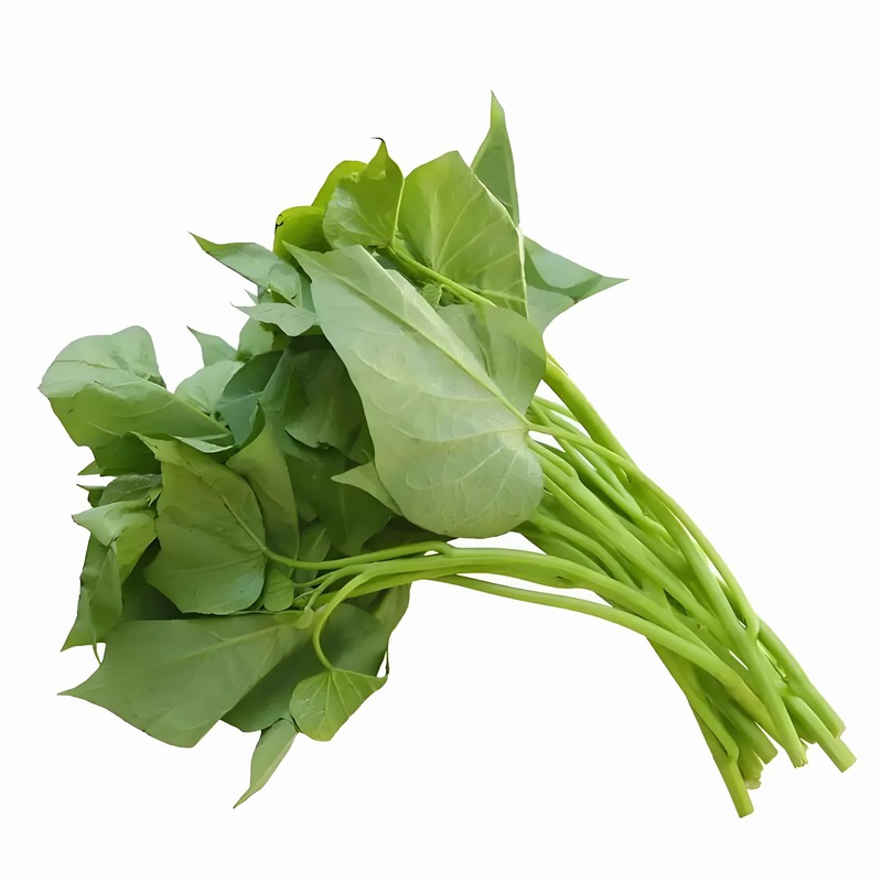 春分時節(jié)：減衣不宜過早起居應(yīng)晚睡早起早春