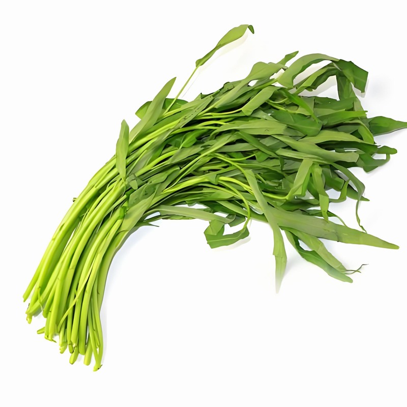 春分節(jié)氣民間習(xí)俗春分科學(xué)飲食知識