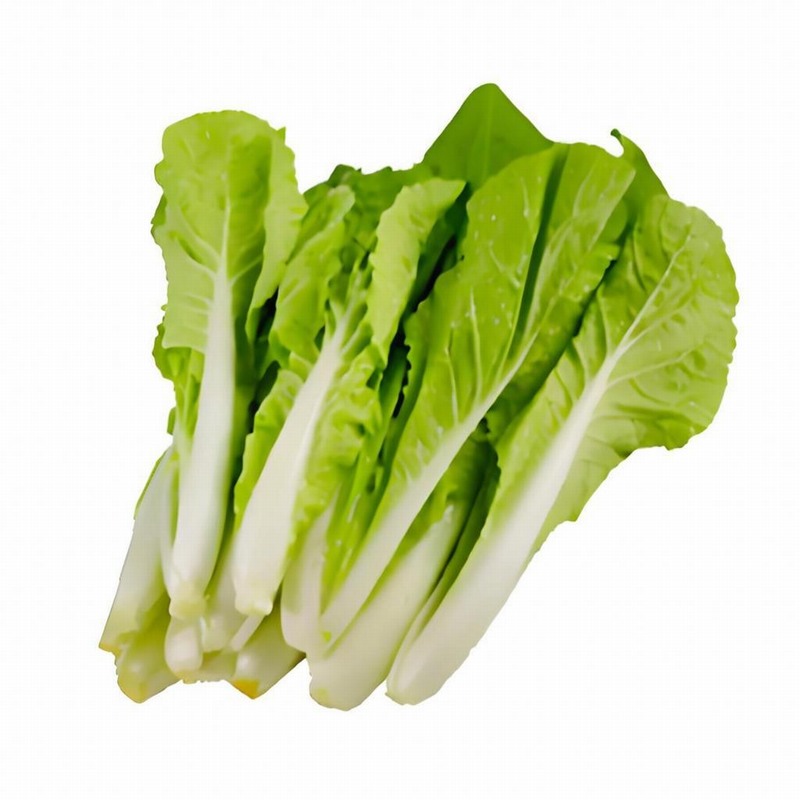 春茶好喝要放放 放段時(shí)間更香醇早春