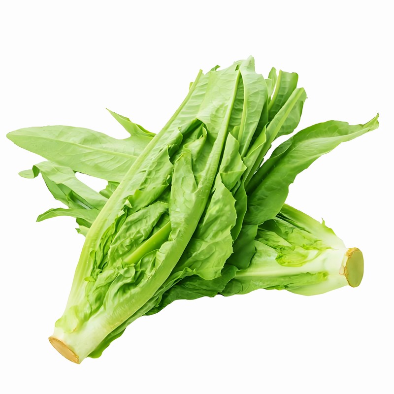 春風(fēng)拂面防面癱早春